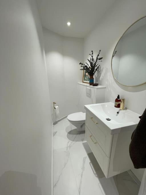 Nyrenoveret Charmerende Lejlighed I Odense C!アパートメント エクステリア 写真